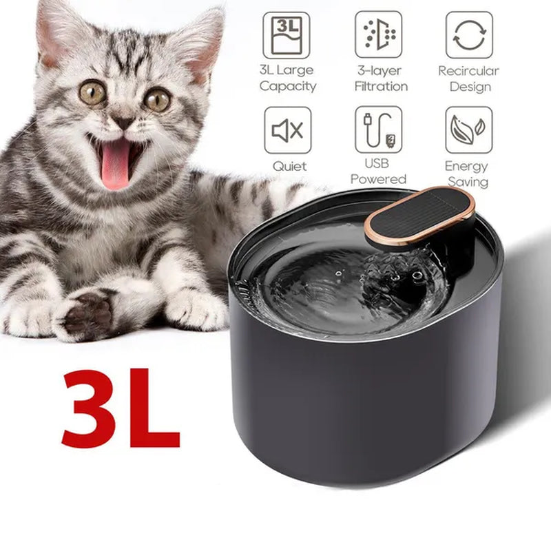 Pet Water Fountain