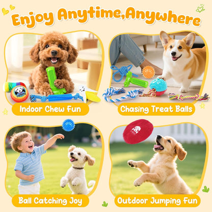 25 Pack Puppy Dog Toys